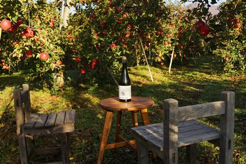 農園とワイン（一例）